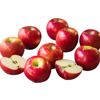 SugarBee® Apple (@SugarBeeApple) / X