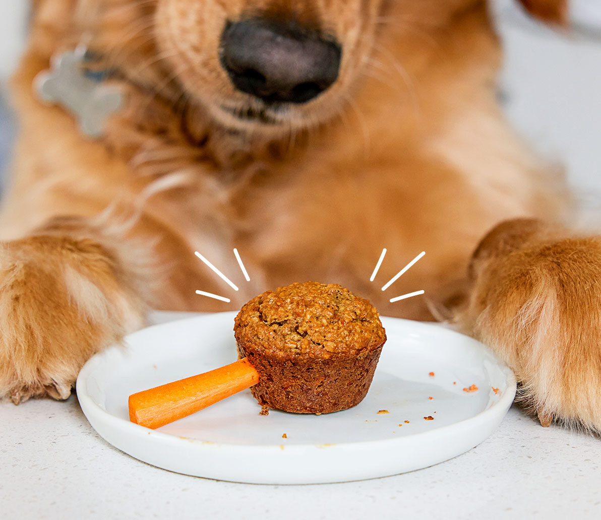 Woof - Beef & Peanut Butter Pupsicle Pops