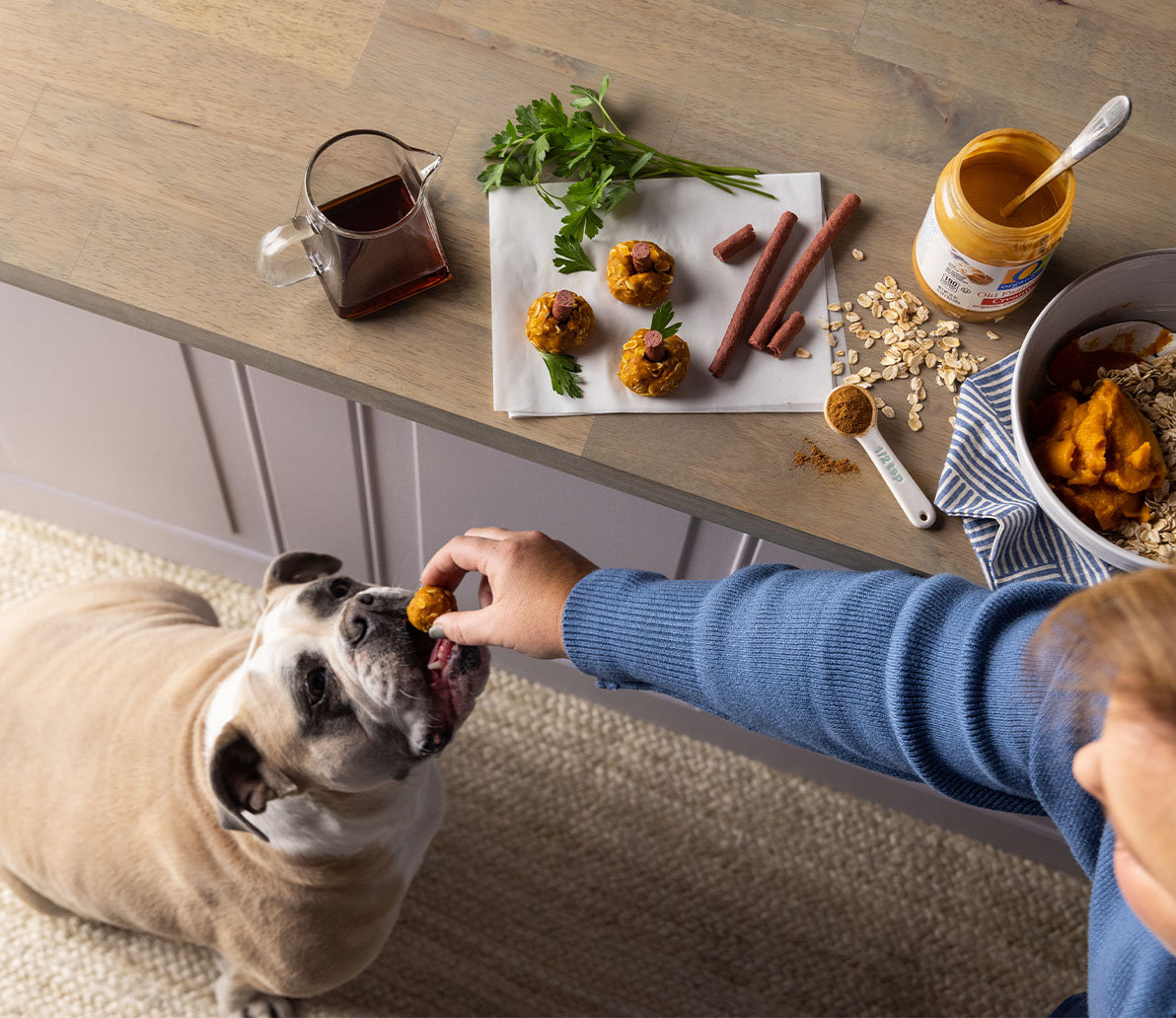 https://images.albertsons-media.com/is/image/ABS/feeding-to-dog?scl=1