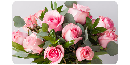  Farm Direct Fresh Light Pink Glitter Roses for Valentine's Day   Light Pink Glitter Flower Bouquet of 12 Fresh Roses (Dozen) + Vase  Included - Fresh Rose Delivery : Grocery & Gourmet Food