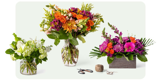 Shop for Flowers, Cards, Occasion at your local Safeway Online or In-Store