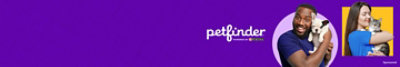 petfinder powered by Purina