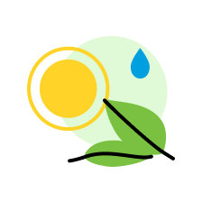 Organic