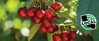 Image of cherries on a tree branch with a logo that says "Support Local" with the outline of California state
