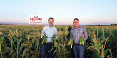 Majesty growers