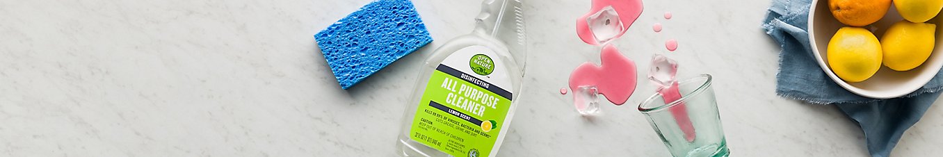 Soap and home cleaning supplies on a kitchen counter